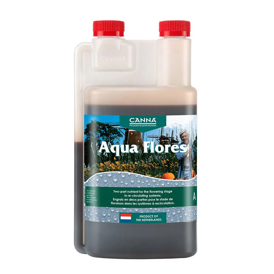 Canna Aqua Flores A