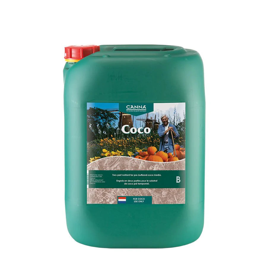Canna Coco B