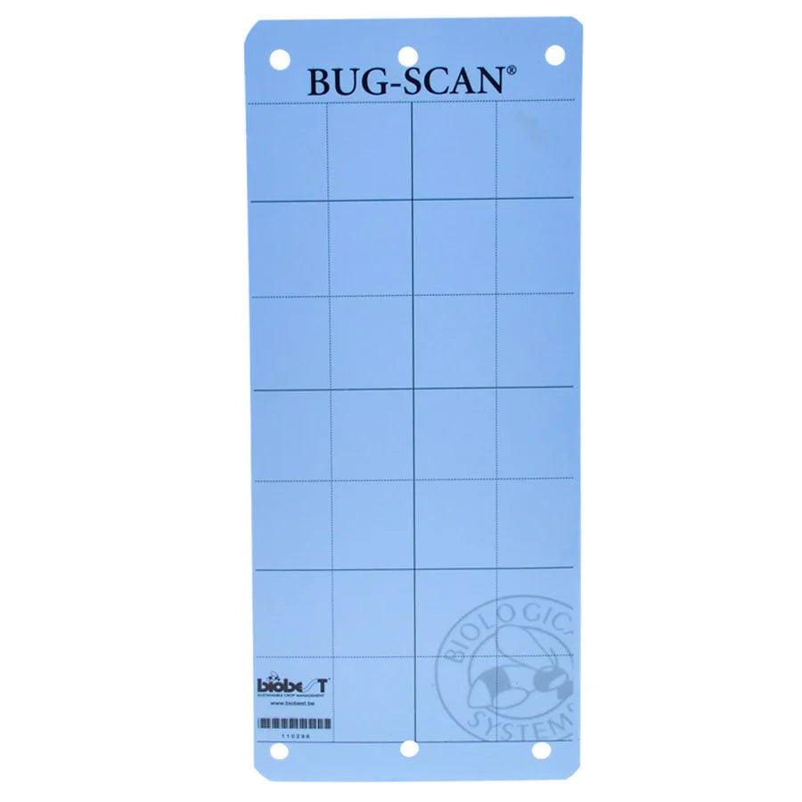 PIÈGES COLLANTS BLEUES BUG-SCAN (10)