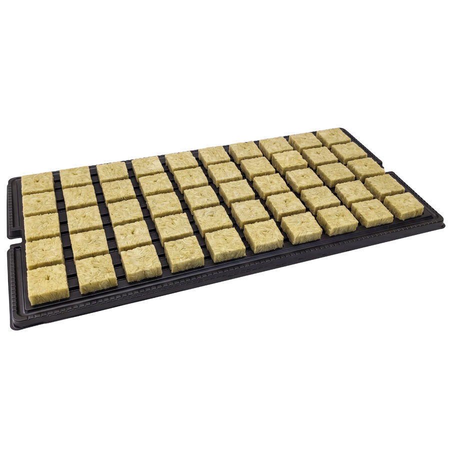 BIOFLORAL PROPAGATION KIT