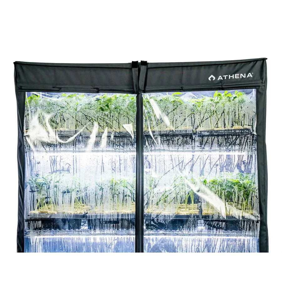 ATHENA VP DOME 48'' x 72'' x 18'' (1)