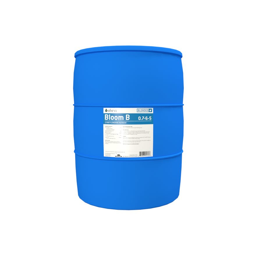 Athena Bloom B (0.7-6-5)