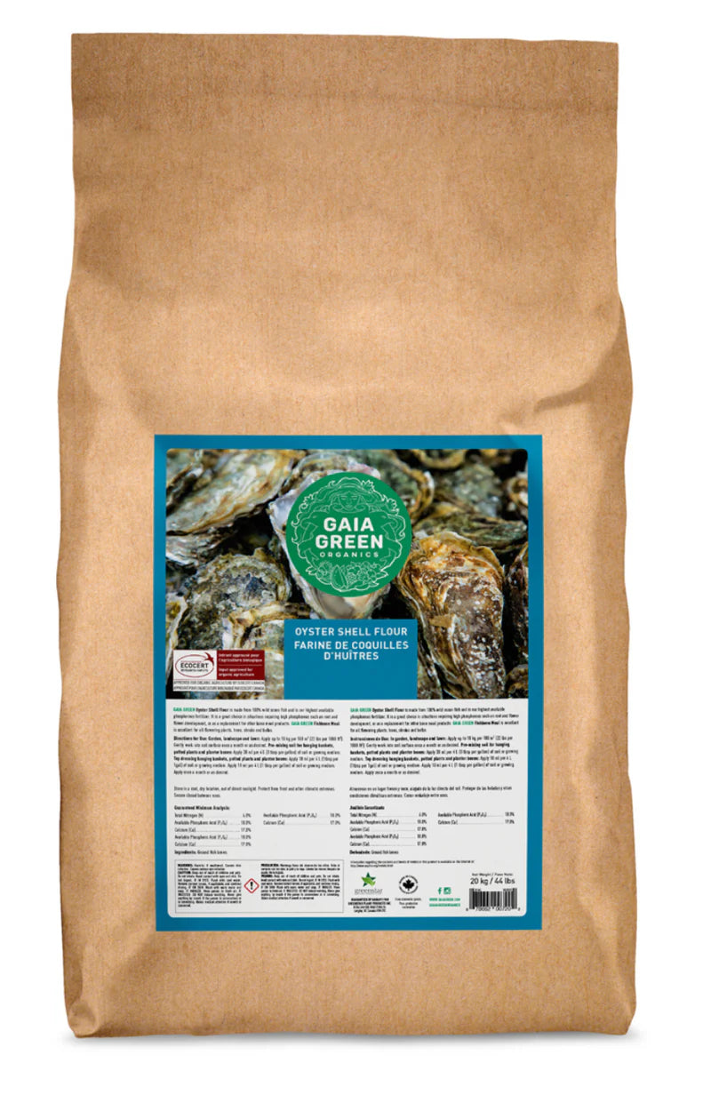 Gaia Green Oyster Shell Flour