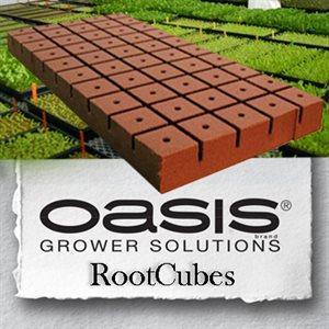 OASIS ROOTCUBES 1 1/2'' 50/SHEET #5015 (20)