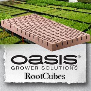 OASIS ROOTCUBES 1 1/4'' 104/SHEET #5010 (20)