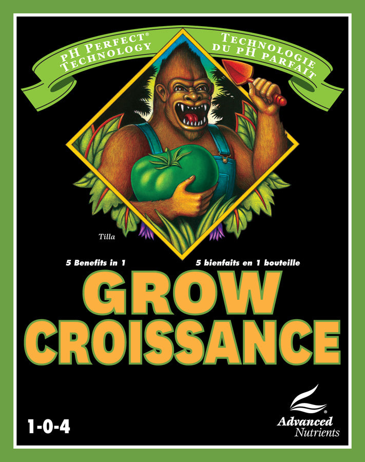 ADVANCED NUTRIENTS PH PERFECT CROISSANCE 4L