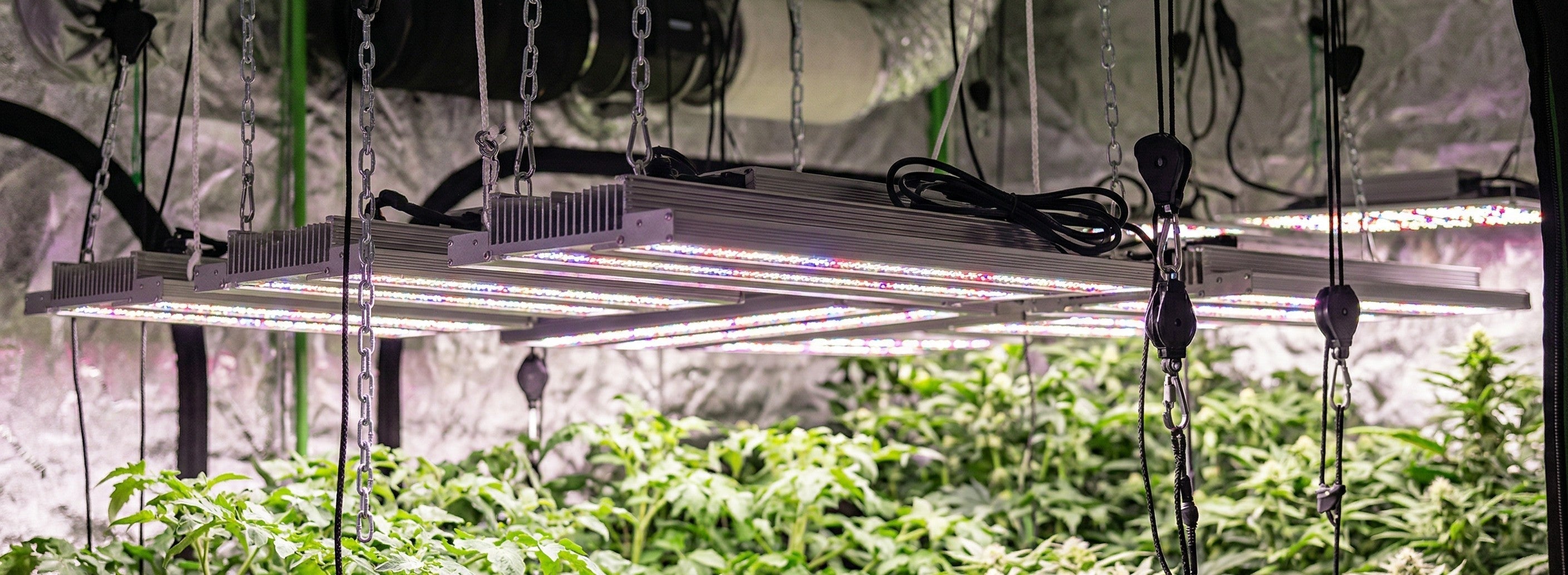 How High Should Your Lights Be