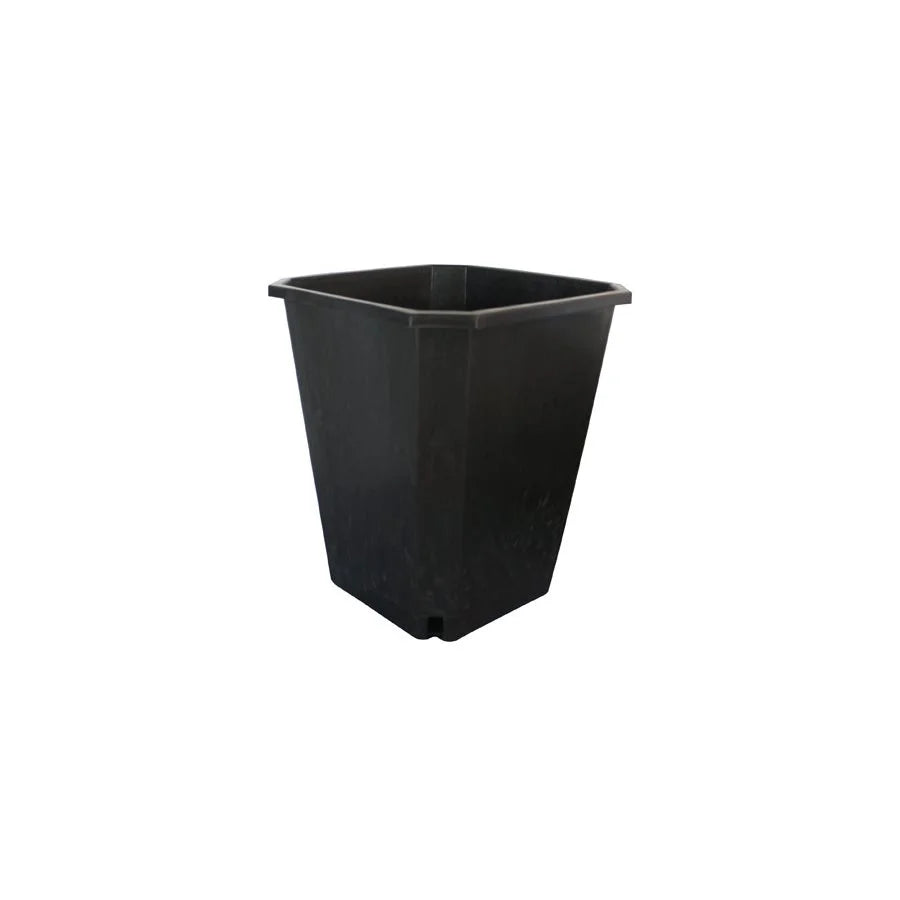 FHD 11L SQUARE BLACK POT 10'''X10''X11.5'' (1)