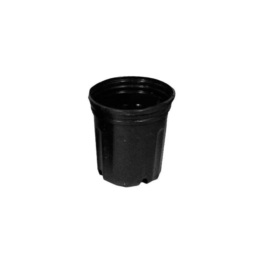 NURSERY POT 1000 9L (2.5 G)  / 10'' X 9''