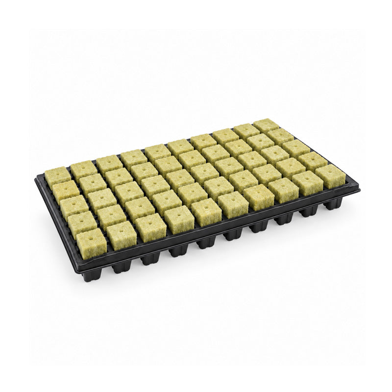 GRODAN SBS A-OK PLUGS 1.5'' 36/40 PLATEAU (50) 