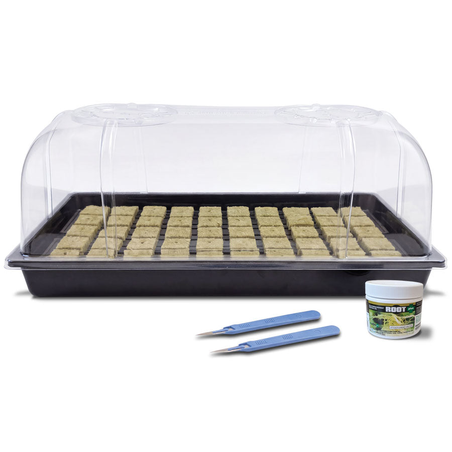 BIOFLORAL PROPAGATION KIT