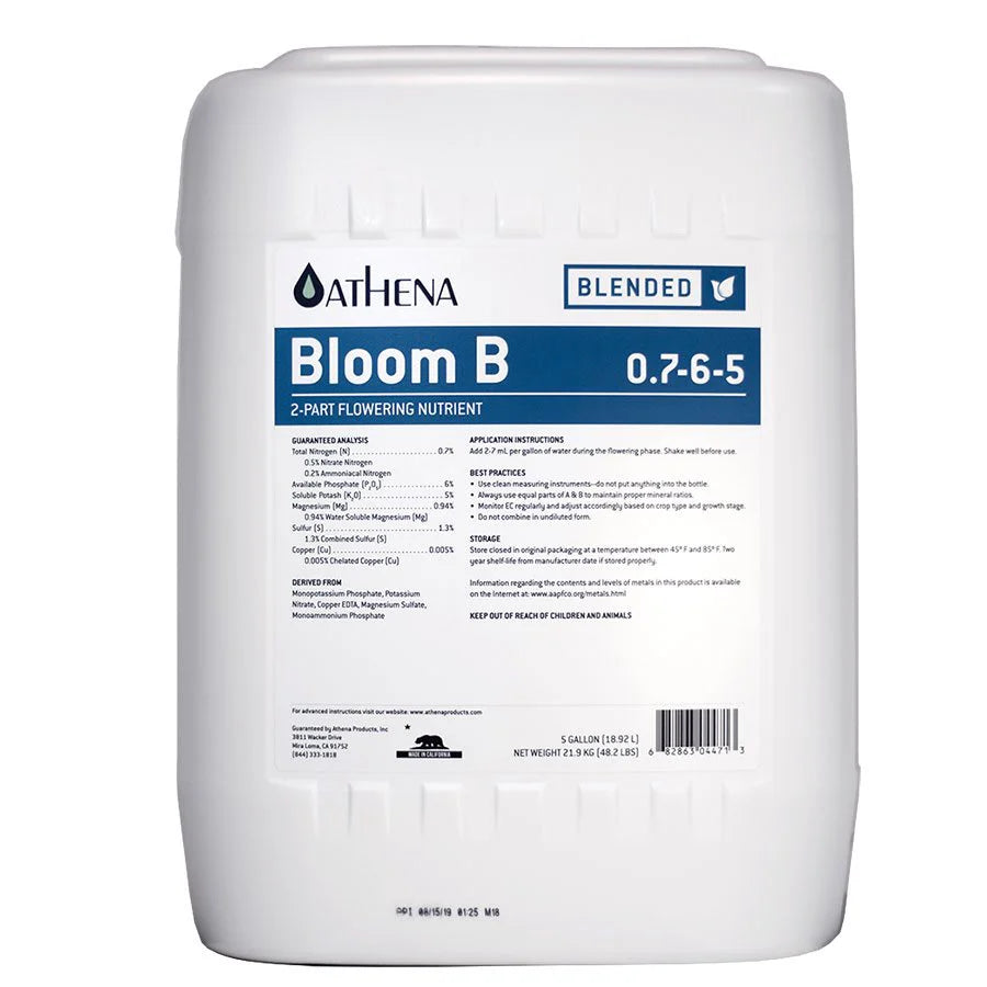 Athena Bloom B (0.7-6-5)