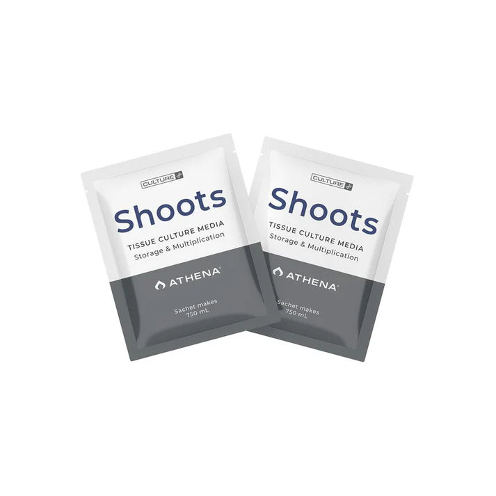 Athena Shoots Culture Media