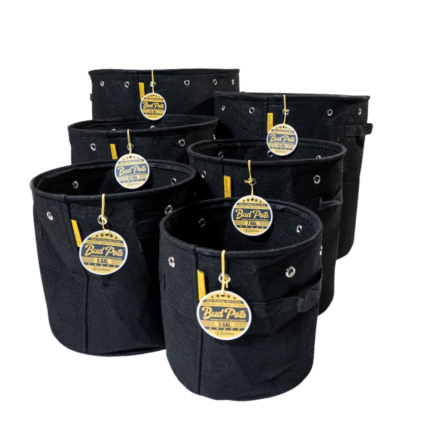 BudTrainer BudPots