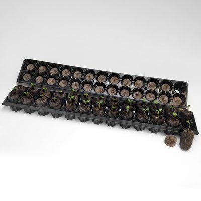 JIFFY STRIP 26 CAVITIES TRAY (1092)