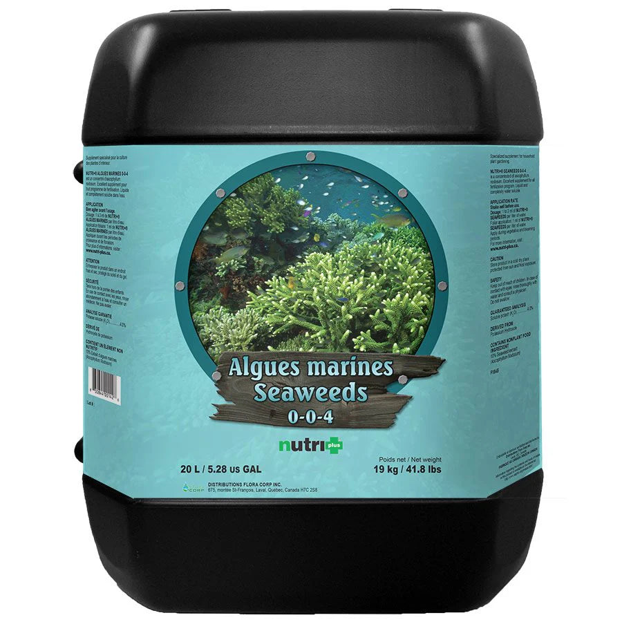 Nutri+ Seaweeds