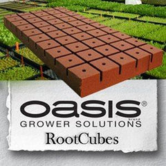 OASIS ROOTCUBES 1 1/2'' 50/FEUILLE #5015 (20)