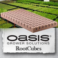 OASIS ROOTCUBES 1 1/4'' 104/FEUILLE #5010 (20)
